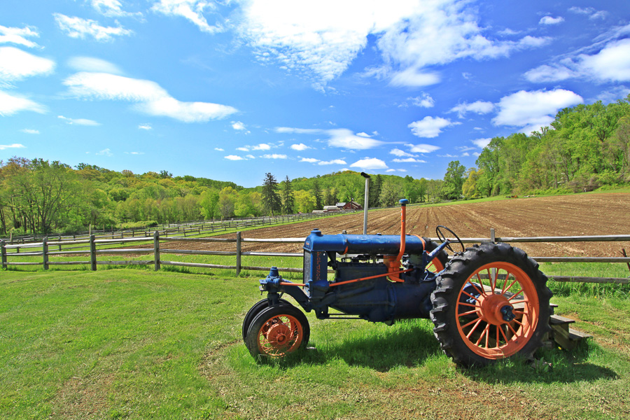 Morris Township